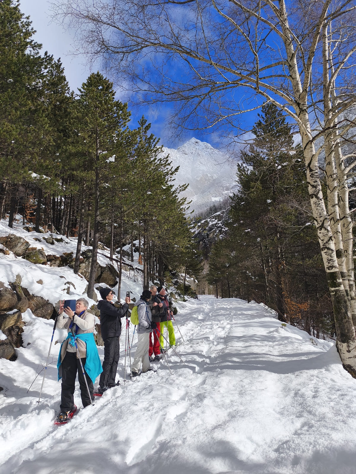 Raquetas de nieve por el Valle de Caldes en la Vall de Boí.