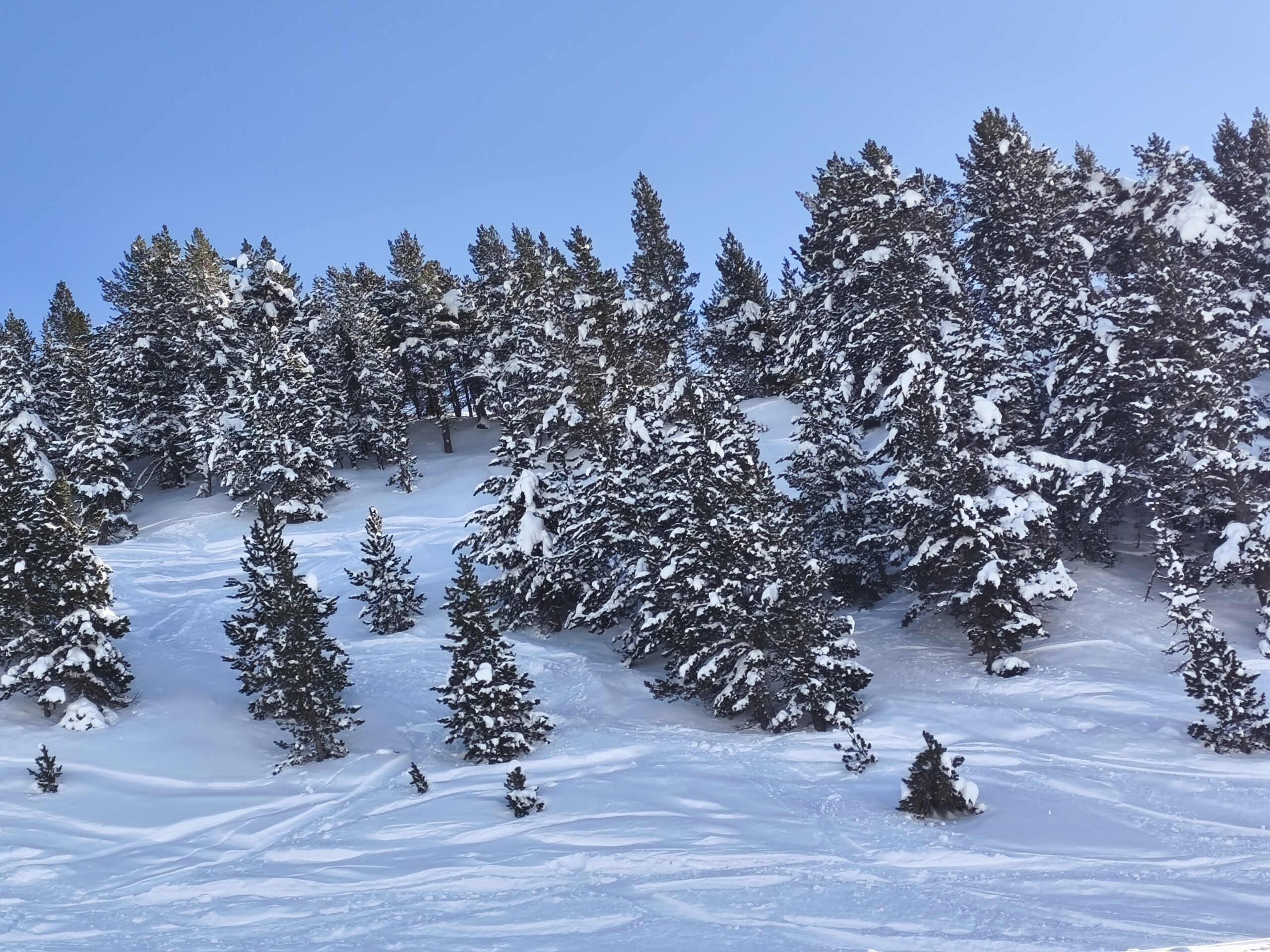 Pistas de Baqueira cerca de nuestra casa rural en Vielha para grupos.