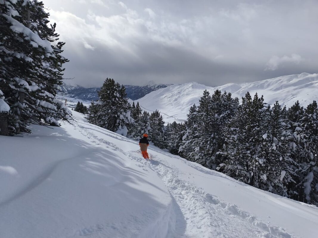 Skieur sur une piste de poudreuse entre les sapins enneigés à Baqueira, Pyrénées Espagnoles.