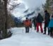 Guía de montaña profesional con un grupo por una ruta con raquetas de nieve en la Val de Boí.